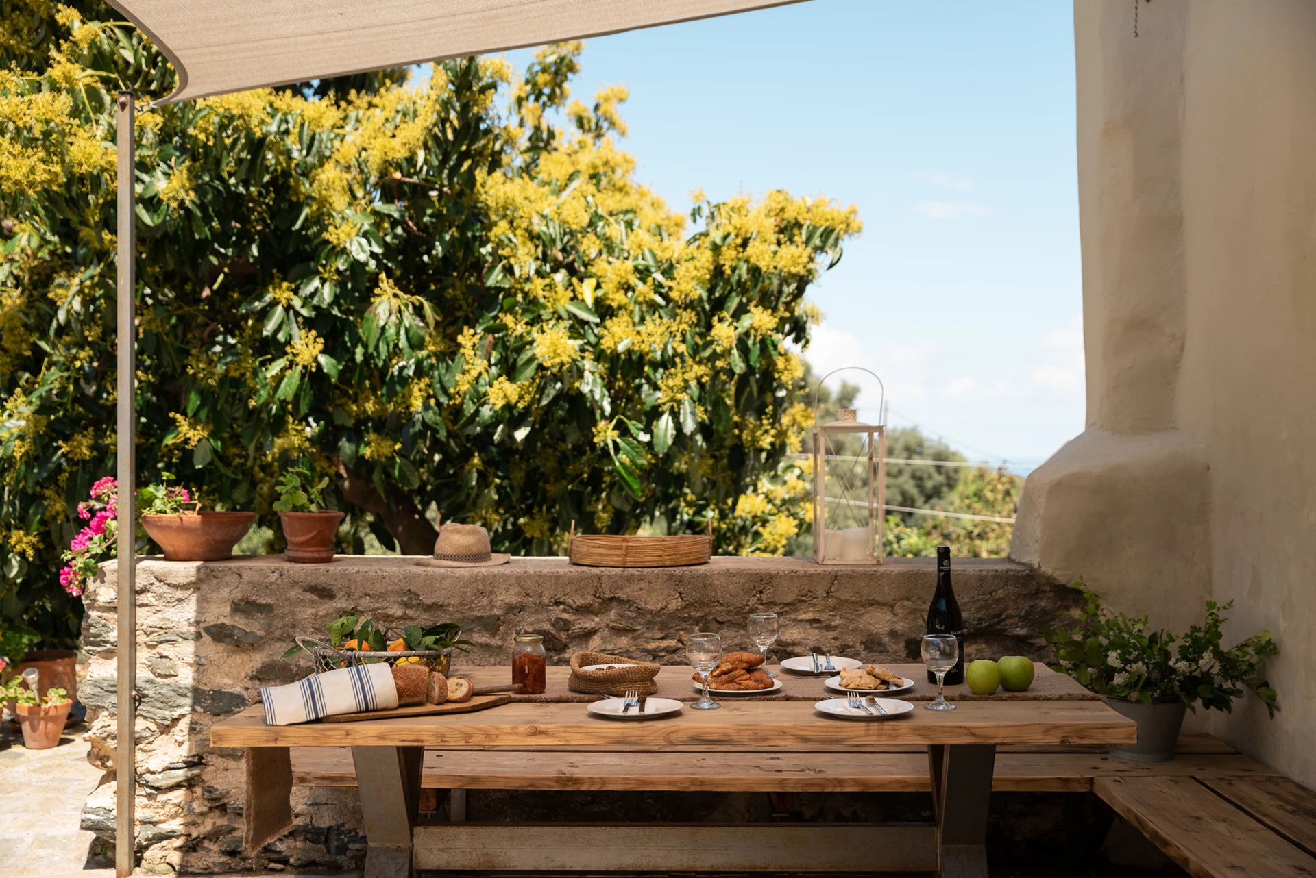 outdoor area
